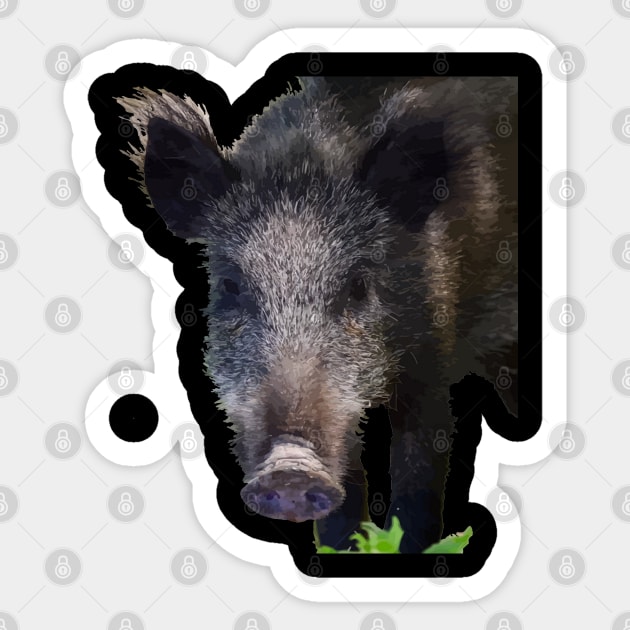 Boar Making Eye Contact Vector Art Sticker by taiche